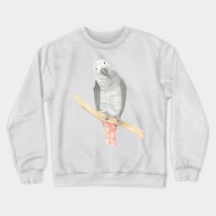 gris d'Afrique watercolor african grey parrot Crewneck Sweatshirt